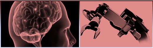Linking brains to robots